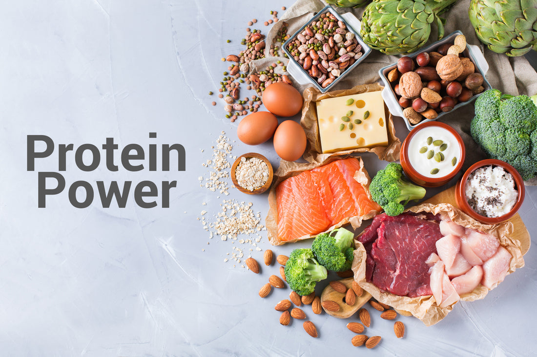 Protein 101: Understanding the Basics of this Essential Nutrient
