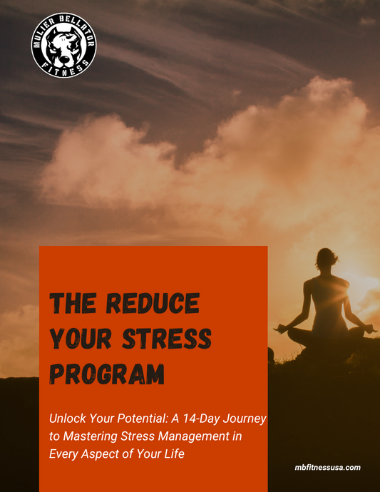 The Reduce Stress Program